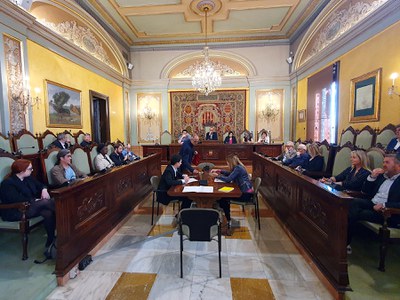 El ple extraordinari d'aquest matí.