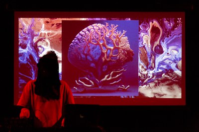 Concert Dengue Dengue Dengue, aquest dijous, al Cafè del Teatre de l'Escorxador..