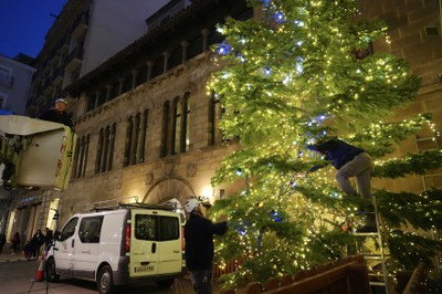 Aquesta tarda s'està instal·lant aquest avet de 8 metres.