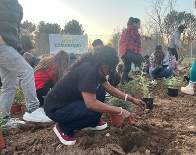 En la plantada de l'hort comunitari hi han participat nombrosos veïns i veïnes.
