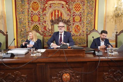L'alcalde Larrosa ha presidit la sessió.