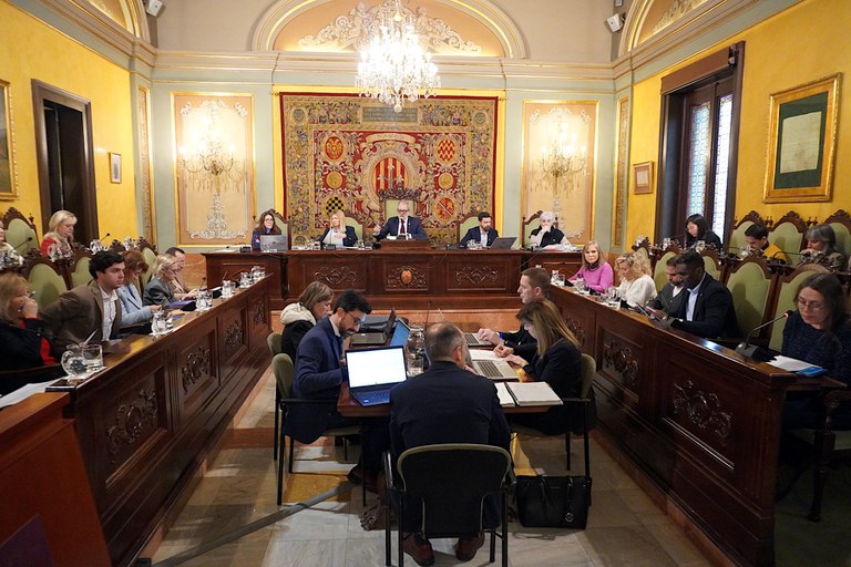 La sessió ordinària del ple de la Paeria s'ha celebrat avui