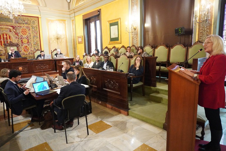 La intervenció de Dolors Pubill al ple