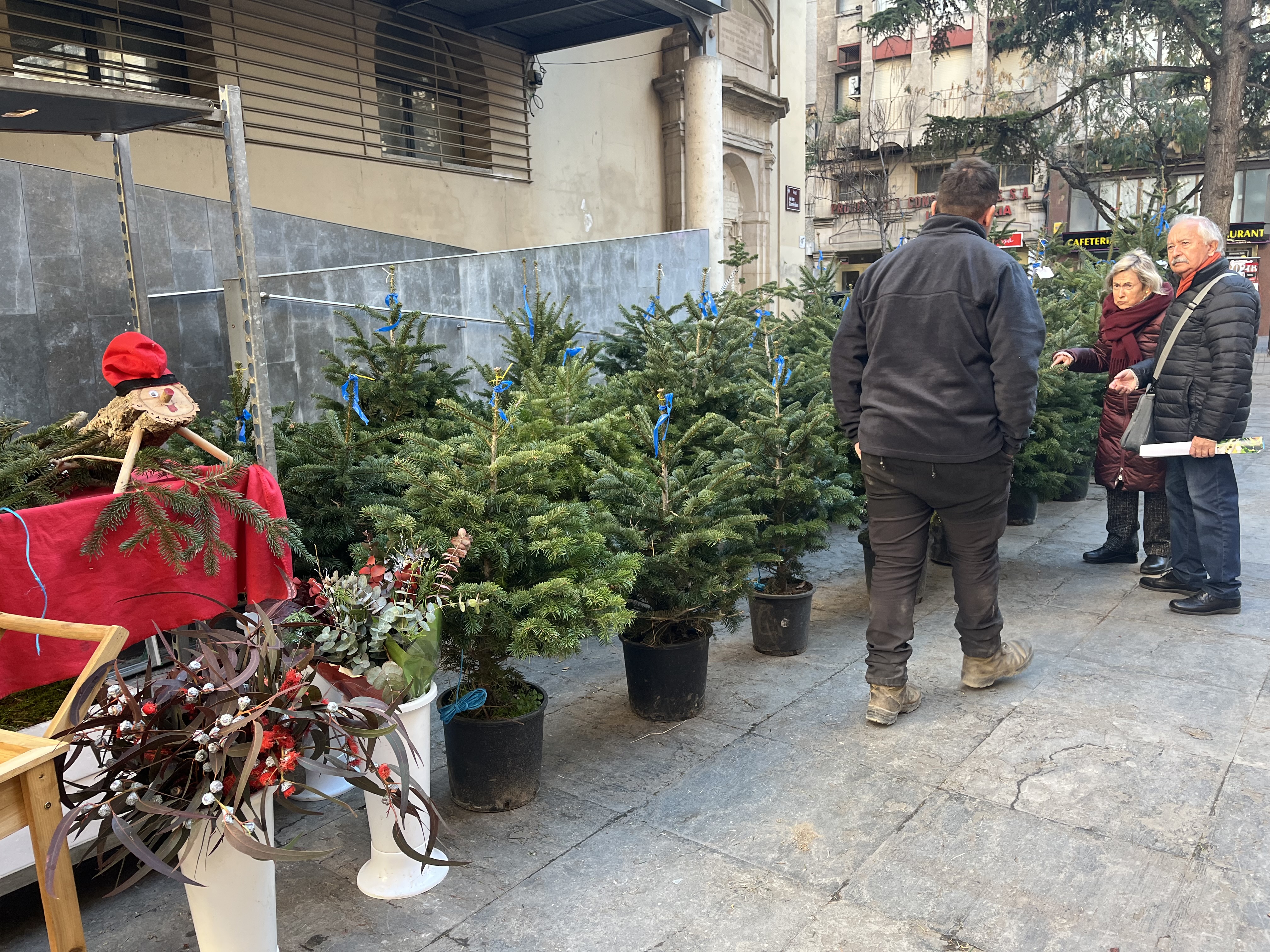 Al Mercat de Santa Llúcia s'hi pot trobar arbres i tions