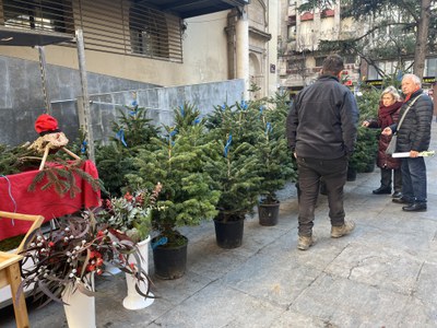 Al Mercat de Santa Llúcia s'hi pot trobar arbres i tions.