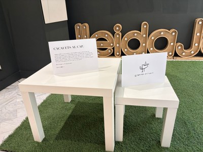 Nova proposta artística "Cacauets al cap" a l'Aparador de LleidaJove.