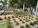 Llesta la renovació integral dels parterres de la Rambla d’Aragó