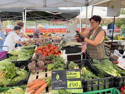Una de les parades amb la nova senyalització de la marca Horta.