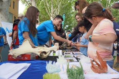 Les demostracions i experiments s'han fet als Camps Elisis.