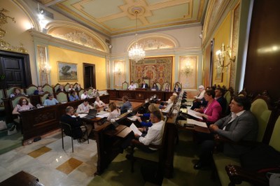 Imatge de la sessió celebrada avui.