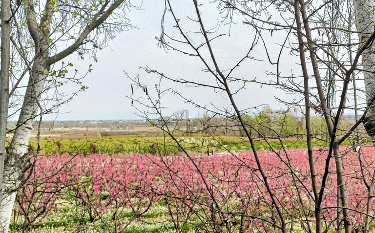 El festival L'Art a l'Horta té lloc a Butsènit aquest cap de setmana.