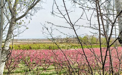 El festival L'Art a l'Horta té lloc a Butsènit aquest cap de setmana..