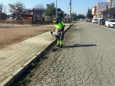 Tasques de desebrossament.