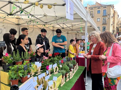 Un total de 361 alumnes han creat 16 cooperatives diferents.