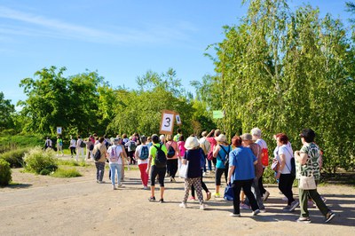 Gimcana a l'Arborètum de Lleida per acabar el curs dels grups de gimnàstica i taitxí dels centres sènior (imatge d'arxiu).
