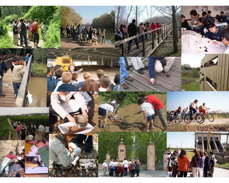Collage d'activitats realitzades a Lleida en Viu