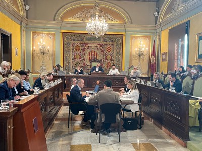 El Ple ordinari de maig.