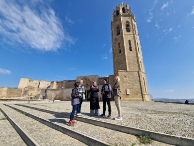 Periodistes japonesos a la Seu Vella.