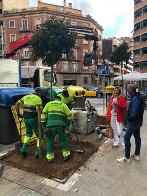 La regidora de Sostenibilitat i Agenda Urbana i Espai Agrari, Begoña Iglesias, ha fet un seguiment dels treballs.