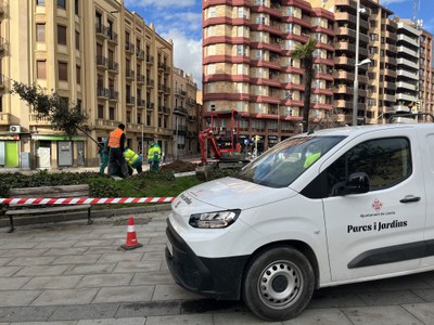 Avui s'ha fet plantació d’arbrat i plantes arbustives a la plaça de Cervantes.