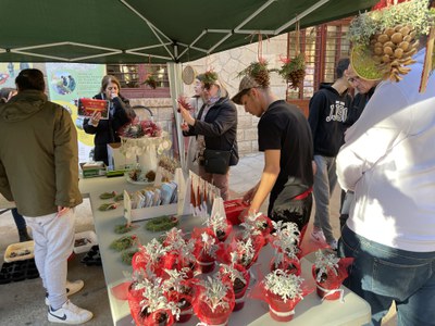 L'Escola Municipal de Jardineria organitza un mercadet cada dijous, al qual s'afegeix el de Nadal que ha tingut lloc avui..