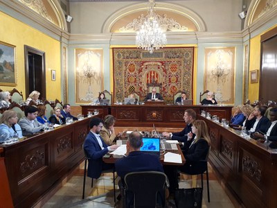 Imatge del ple celebrat avui.