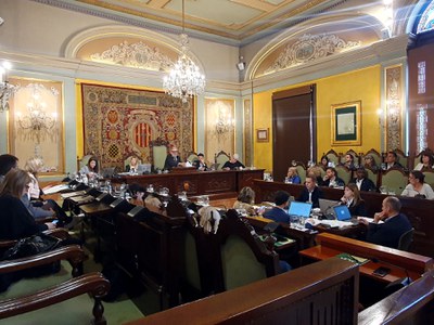 Una altra vista de la sessió d'avui del ple.