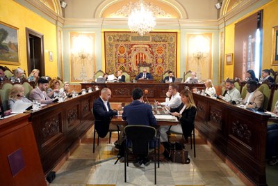 Imatge del ple celebrat avui.