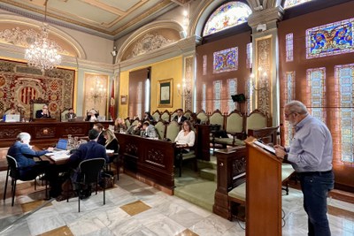 Antoni Capell de Marea Pensionista Lleida, durant el Ple Ordinari d'octubre.