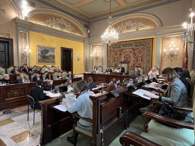 Fotografia del Ple Municipal Ordinari del mes de desembre.
