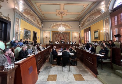 Una de les votacions del ple celebrat avui.