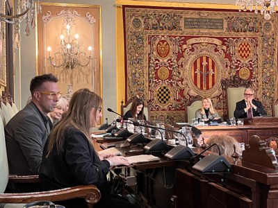 Rosa M. Jové, en la seva última intervenció com a regidora de la Paeria.