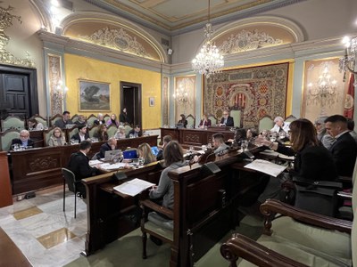 Vista de la sessió plenària d'avui.
