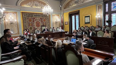 La votació d'aquest divendres ha estat 9 vots favorables a la qüestió de confiança i 18 en contra..