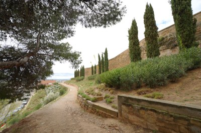 Un altre dels punts on s'ha actuat per a promoure la renaturalització del Turó.