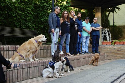 La tinenta d'alcalde, Begoña Iglesias, en el decurs de la seva intervenció..