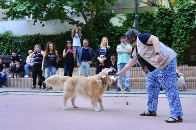 La presentació ha acollit una demostració de l'ajuda que un gos pot oferir a persones que necessiten suport..