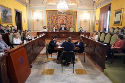 Imatge de la sessió extraordinària d'avui.