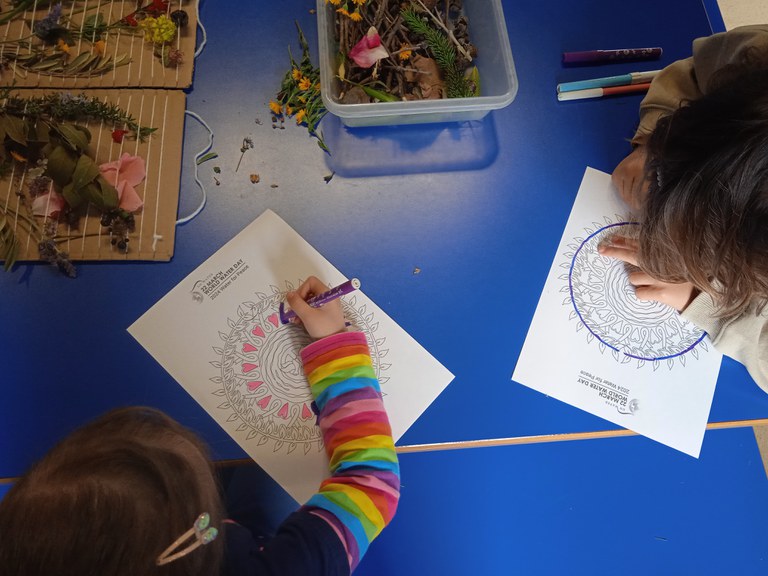 Els infants que han participat en el taller del Museu de l’Aigua han creat un relleu amb materials naturals, com fulles, pinyes i flors.
