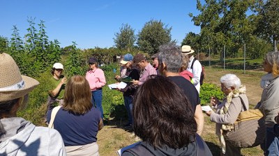 Un moment del taller d'aquest passat dissabte.