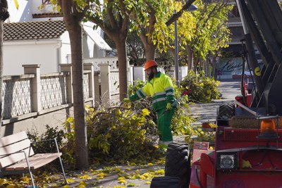L'esporga també s'està duent a terme ara al barri de Camp d'Esports.