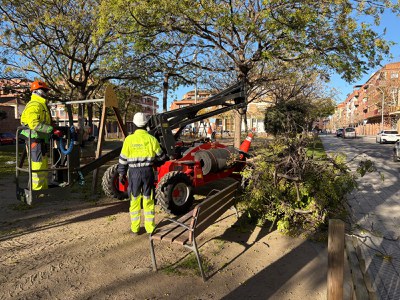 Operaris treballant en tasques d'esporga.