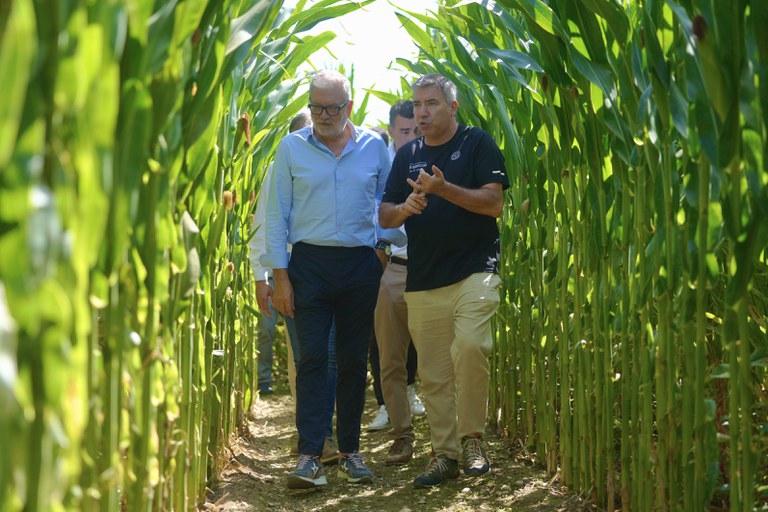 L’objectiu del laberint de panís, a més de passar una bona estona, donar a conèixer l’Horta de Lleida i el món rural