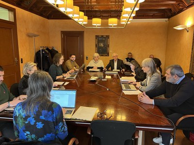 La 4a tinenta d’alcalde i regidora de Bon Govern, Carme Valls, ha presidit la comissió informativa de l'àmbit.