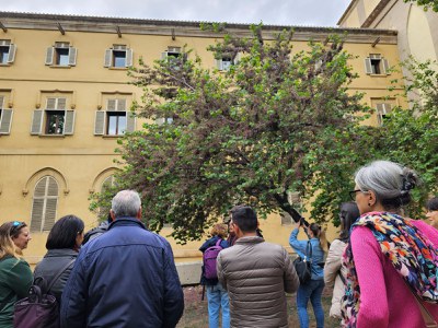 Una iniciativa emmarcada en les Ecoactivitats i que té com a objectiu mostrar les diferents espècies d'arbrat que hi ha a la ciutat i la seva contrib….