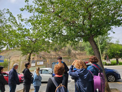 Els tècnics que van desenvolupar l'Ecodescoberta van indicar alguns del molts beneficis que té comptar amb arbrat a les ciutats.