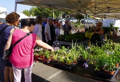 Visita al Mercat setmanal del Camp d'Esports..