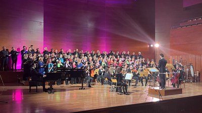 Camerata Granados actuarà dissabte a "el Pot Petit en concert per Afanoc!", a l'Auditori..