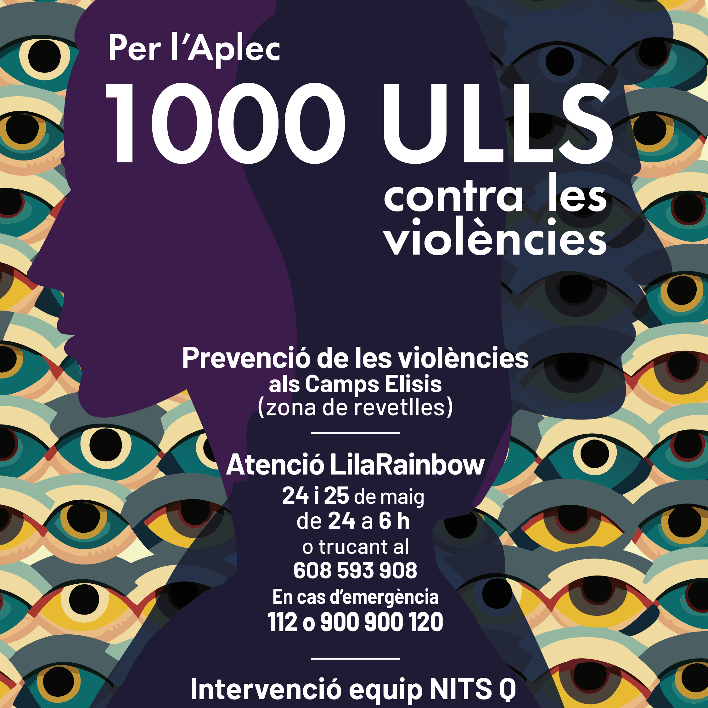 Aplec - zona de revetlles post Instagram