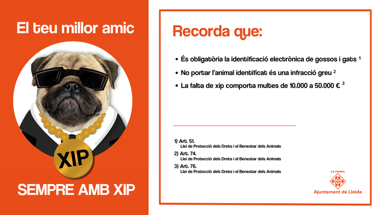 Publicació a Twitter